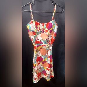 A.P.N.Y. Floral dress